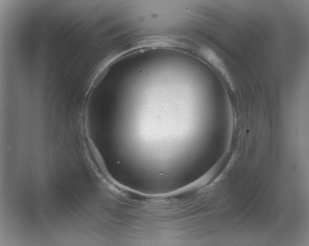 X0000069831481200605191127