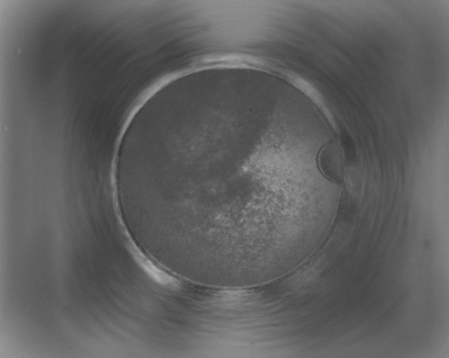 X0000069831482200605191127