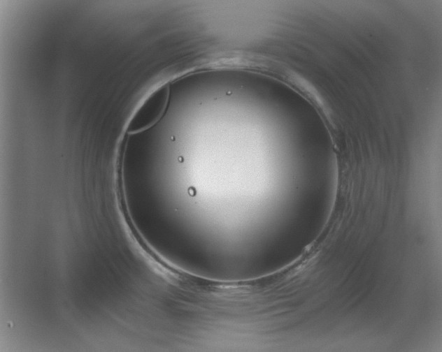 X0000069831483200605191127