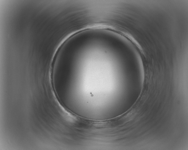 X0000069831484200605191127