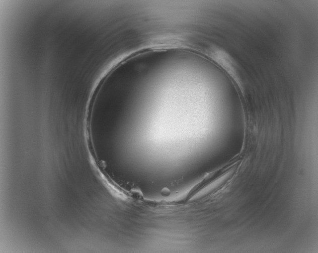 X0000069831485200605191127