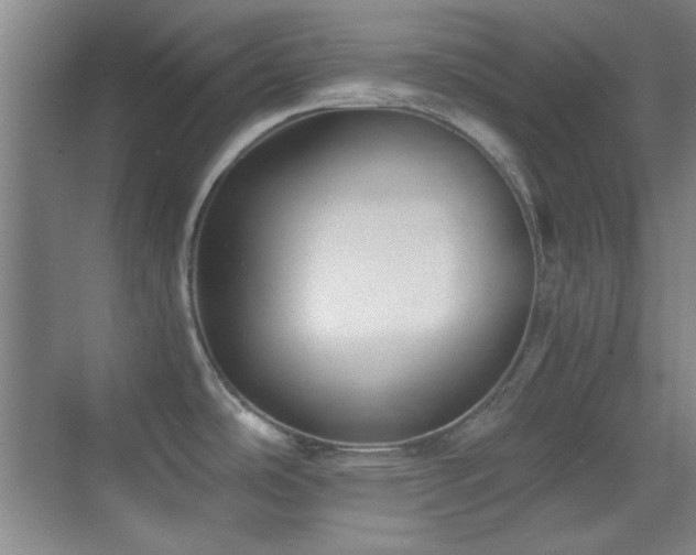 X0000069831486200605191127