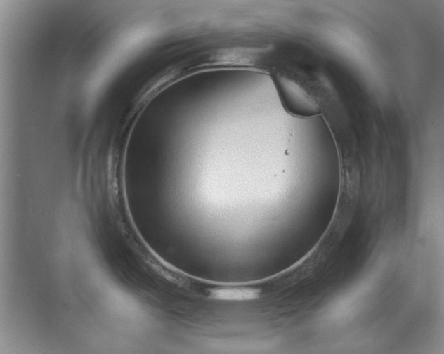 X0000069831487200605191127