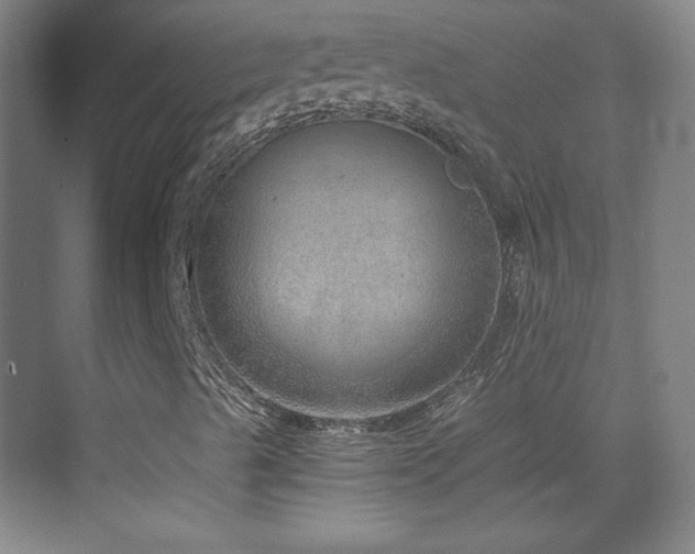 X0000069831489200605191126