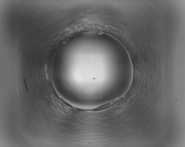 X0000069831490200605191126