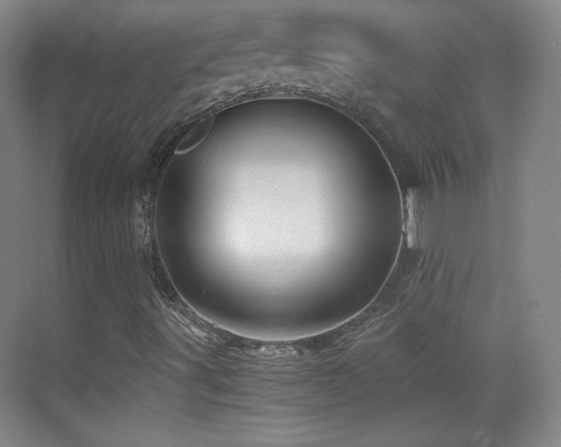 X0000069831491200605191126