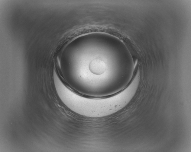 X0000069831492200605191126