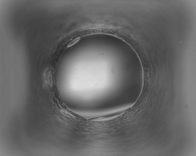 X0000069831493200605191126