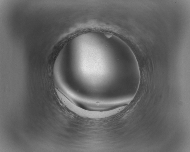 X0000069831494200605191126