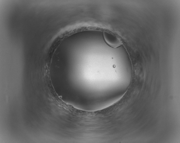 X0000069831495200605191126