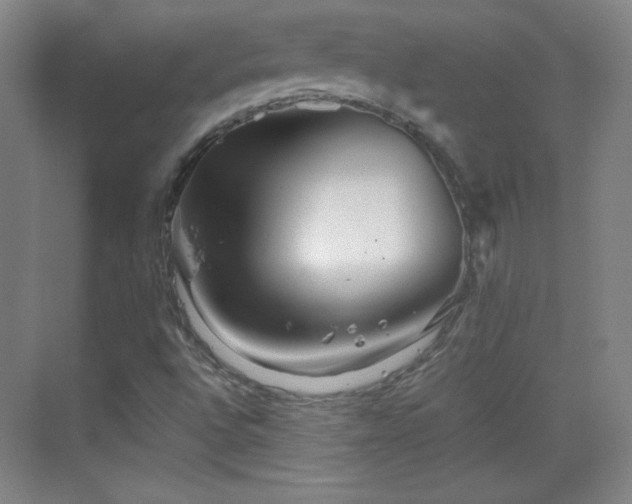 X0000069831496200605191126