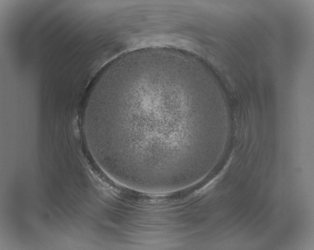 X0000069831497200605191126