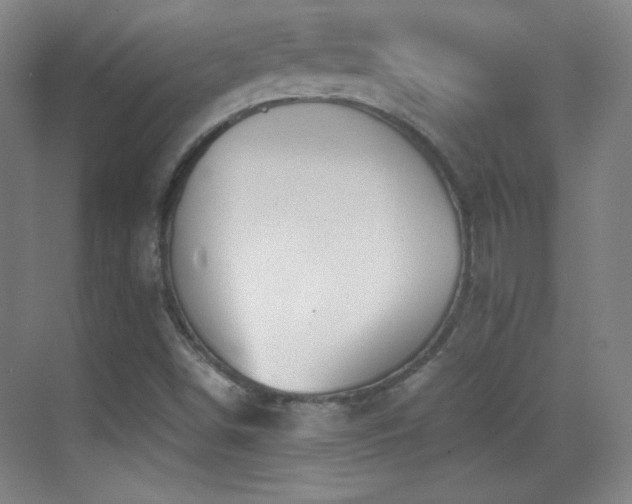 X0000069831498200605191126