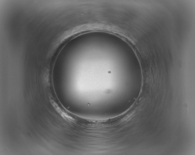 X0000069831499200605191126