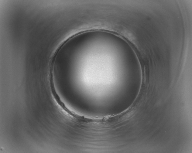 X0000069831500200605191126