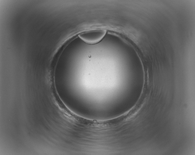 X0000069831501200605191126