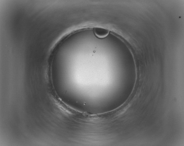 X0000069831502200605191126