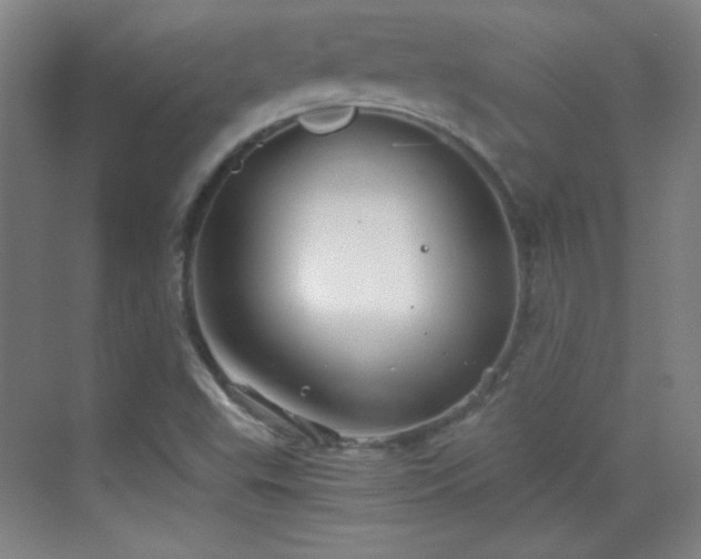 X0000069831503200605191126