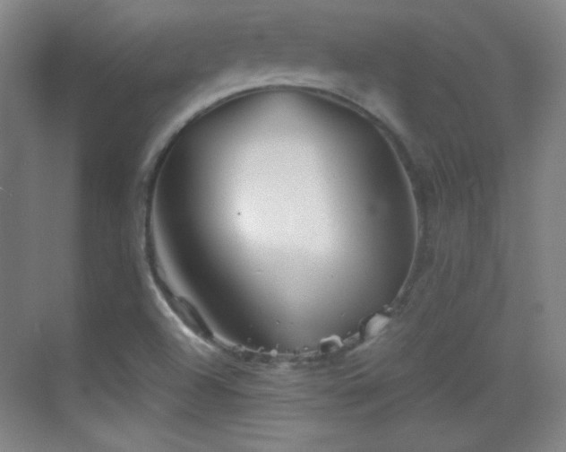 X0000069831504200605191126