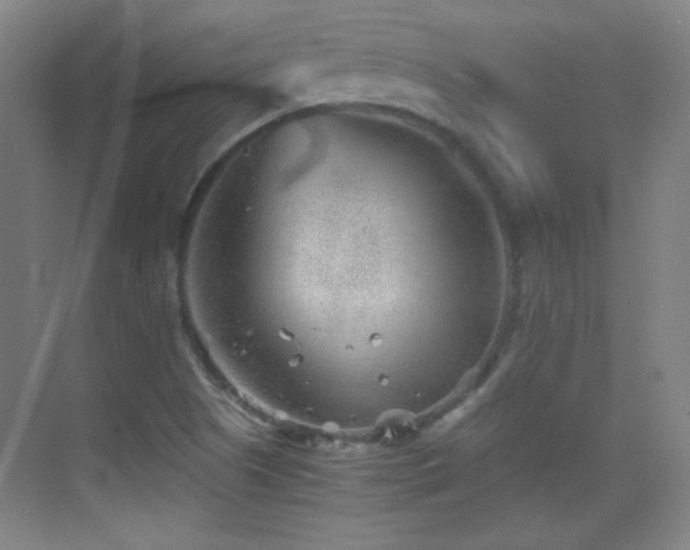 X0000069831505200605191126