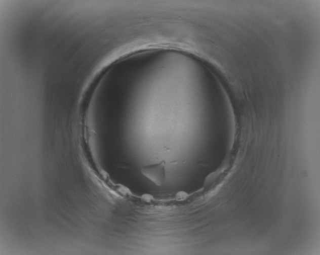 X0000069831506200605191126