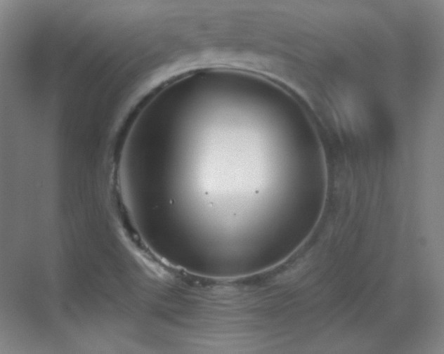 X0000069831507200605191126