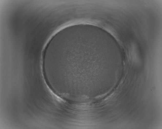 X0000069831508200605191126