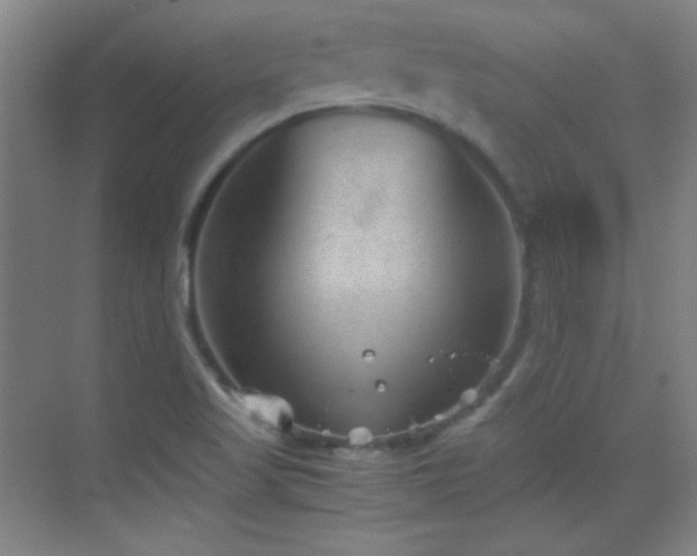 X0000069831509200605191126