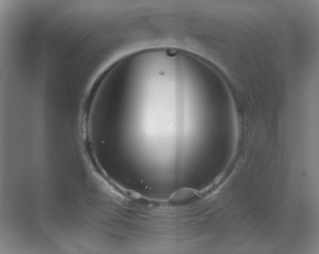 X0000069831510200605191126