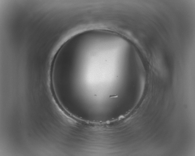 X0000069831512200605191126