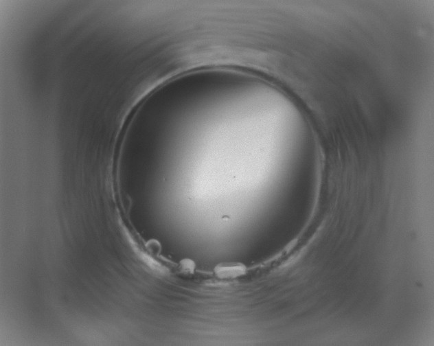 X0000069831513200605191126