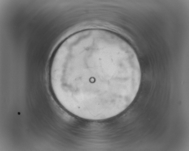 X0000069831514200605191126