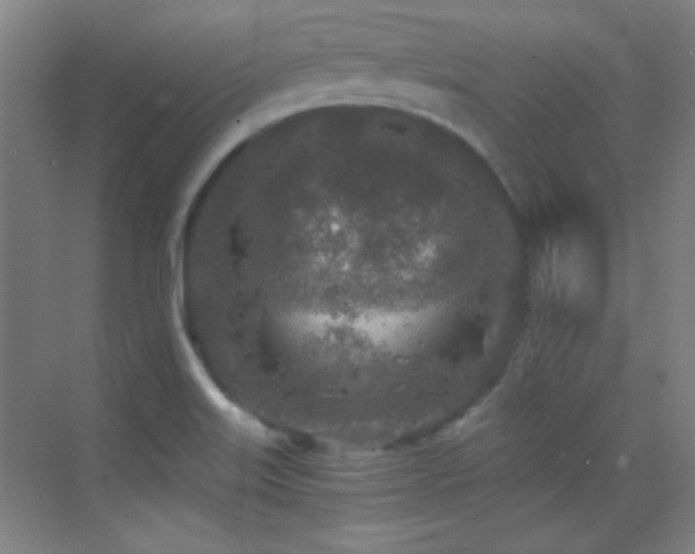 X0000069831515200605191126