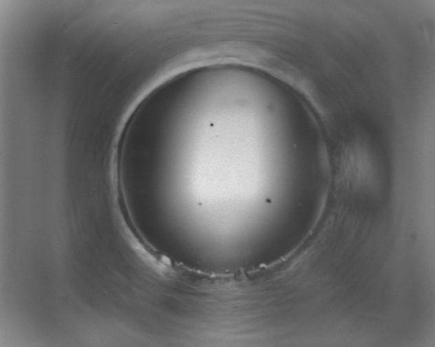 X0000069831516200605191126