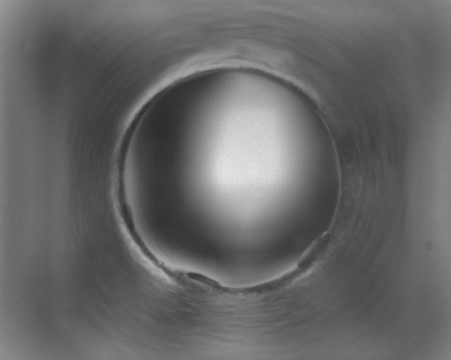 X0000069831518200605191126