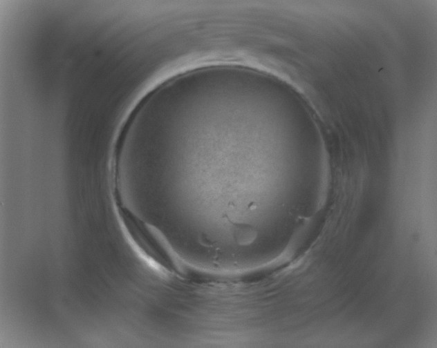 X0000069831519200605191126