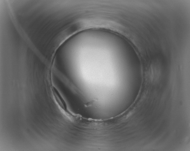 X0000069831521200605191126