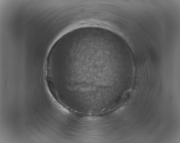 X0000069831522200605191126