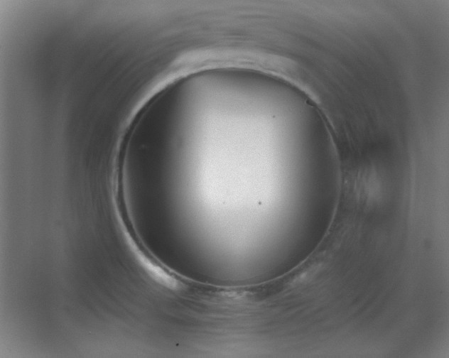 X0000069831523200605191126