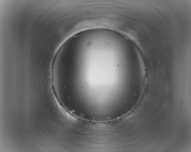 X0000069831524200605191126