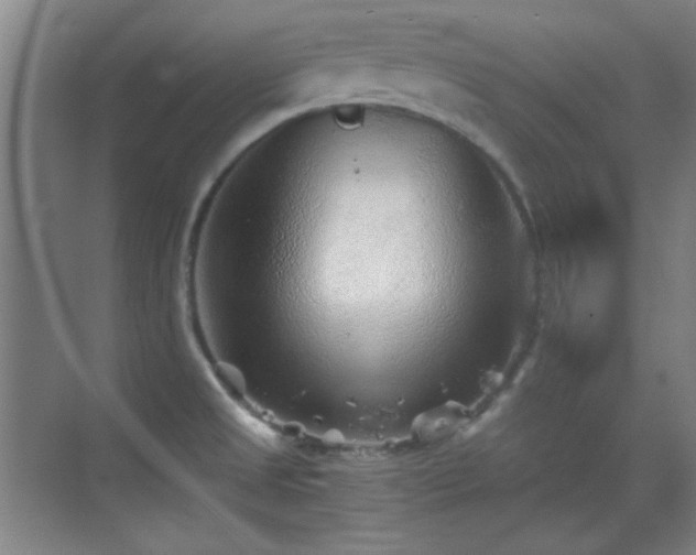 X0000069831525200605191126