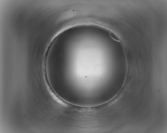 X0000069831526200605191126