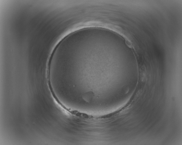 X0000069831527200605191126