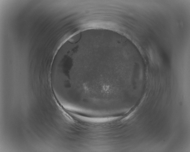 X0000069831529200605191126