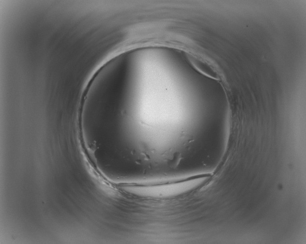 X0000069831530200605191126