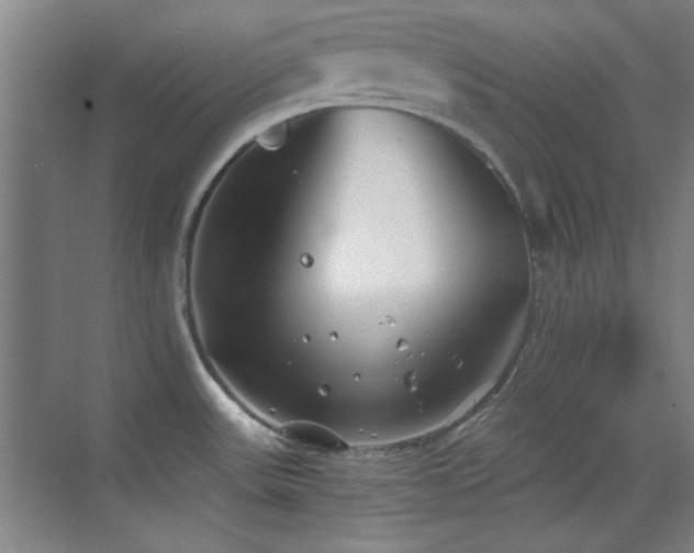 X0000069831531200605191126