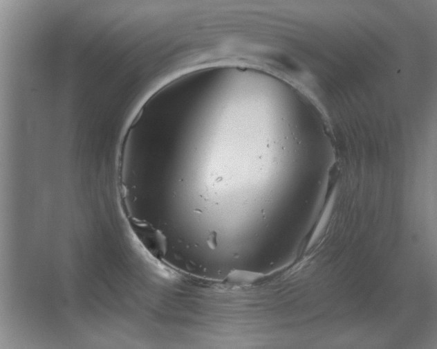 X0000069831532200605191127