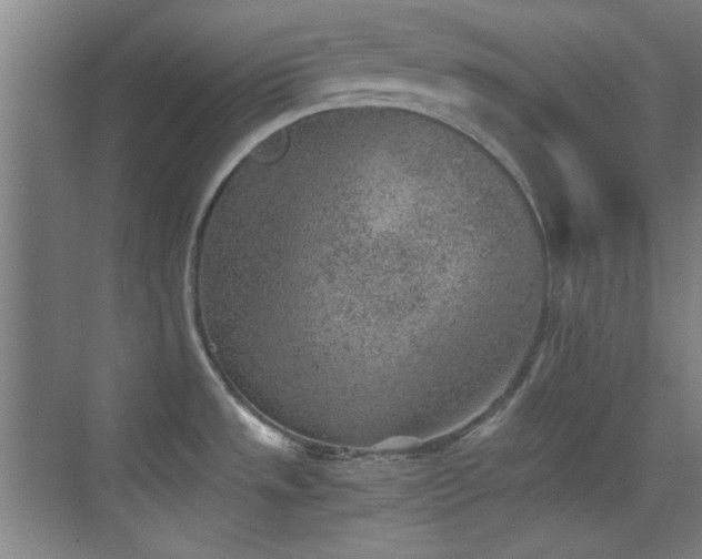 X0000069831533200605191127