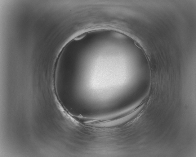 X0000069831534200605191127