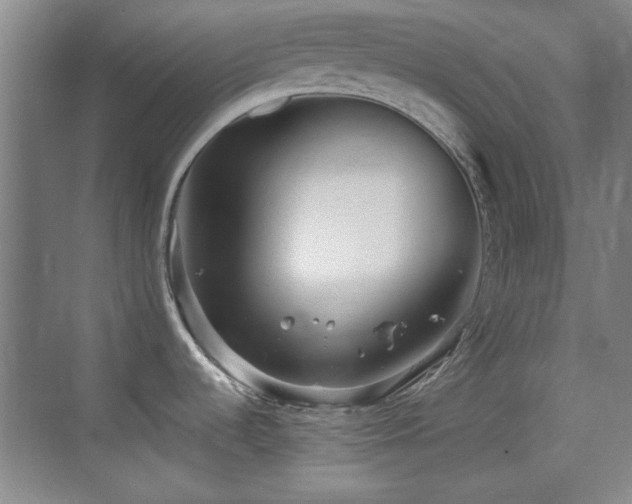 X0000069831536200605191127